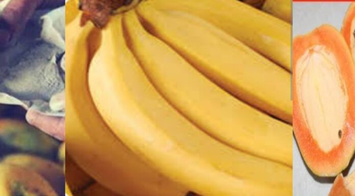 केमिकल से पके फलों की मंडी में खुलेआम हो रही नीलामी जिम्मेदार मौन