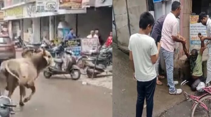 पागल सांड का आतंक रोड पर मचाया उदमात क्षेत्र में छाया सन्नाटा