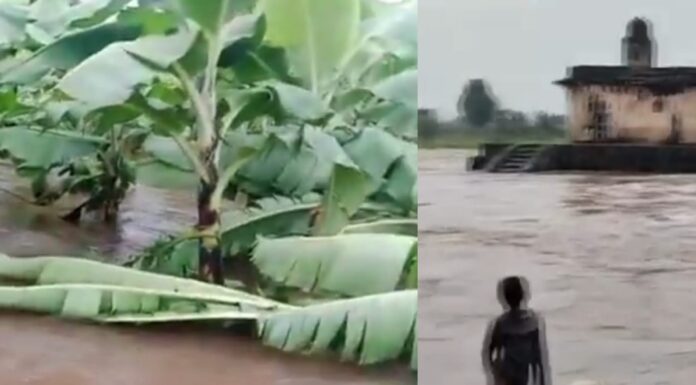 कड कड़ाती बिजली के बीच झमाझम बारिश फिर तबाह हुई केले की फसल