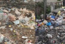 कचरा मुक्त शहर का दवा खोकला गंदगी और दूषित जल से फैला था डायरिया