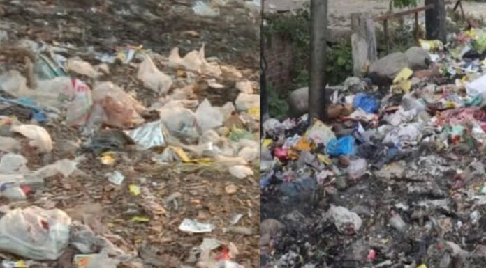 कचरा मुक्त शहर का दवा खोकला गंदगी और दूषित जल से फैला था डायरिया