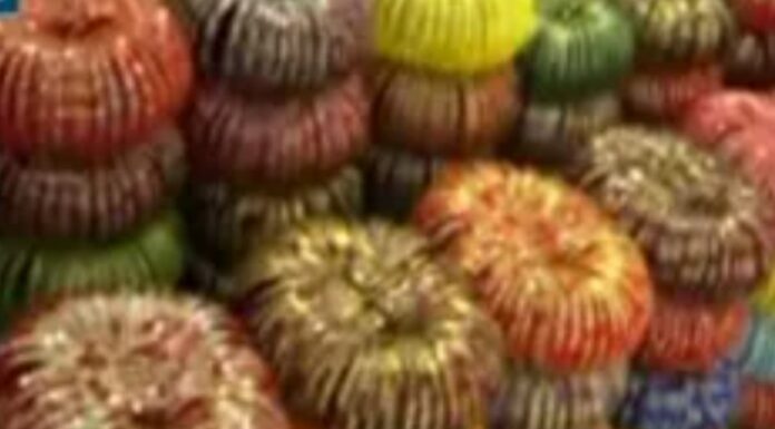 सांप्रदायिक सद्भाव एक इस्लामी अनिवार्यता—-स्कॉलर