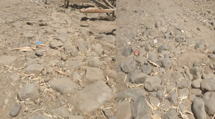 प्रधानमंत्री ग्राम सड़क योजना की जर्जर सड़कें नेताओं को चीड़ा रही मुंह