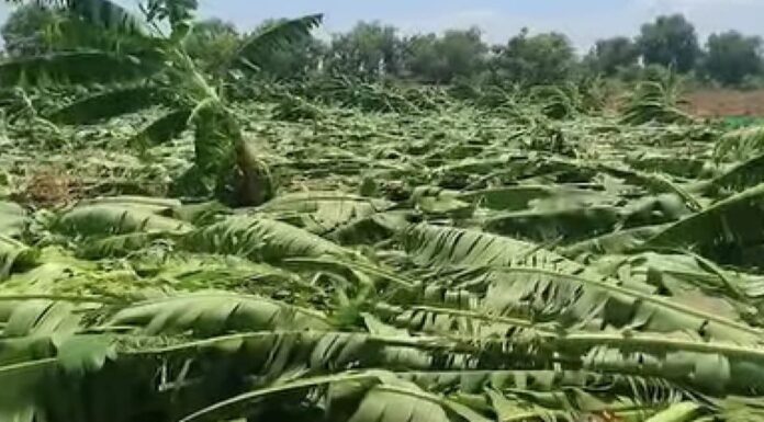 मंत्री और नेताओं के दौरे भी किसानों के दुख को नहीं बांट पाए
