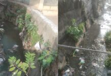 शहर के बड़े नालों की सफाई को लेकर नगर निगम सुस्त बनेगी जल भराव की स्थिति